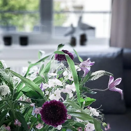 Apartament Nordic Sea *
